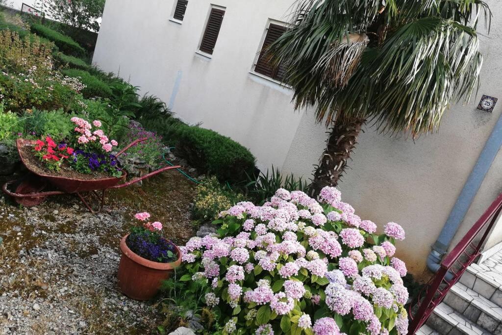 Spacious 2-Room Apartment With Beautiful Sea View Crikvenica Zewnętrze zdjęcie